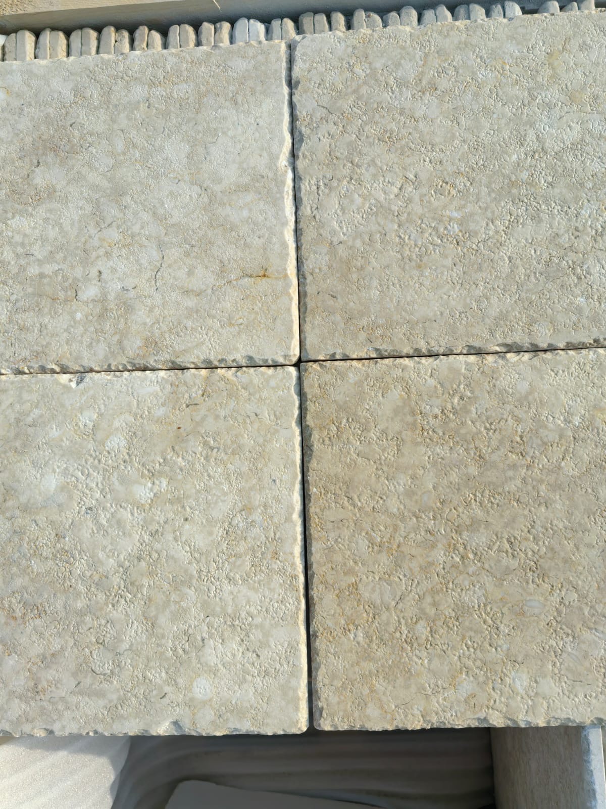 Galala limestone 