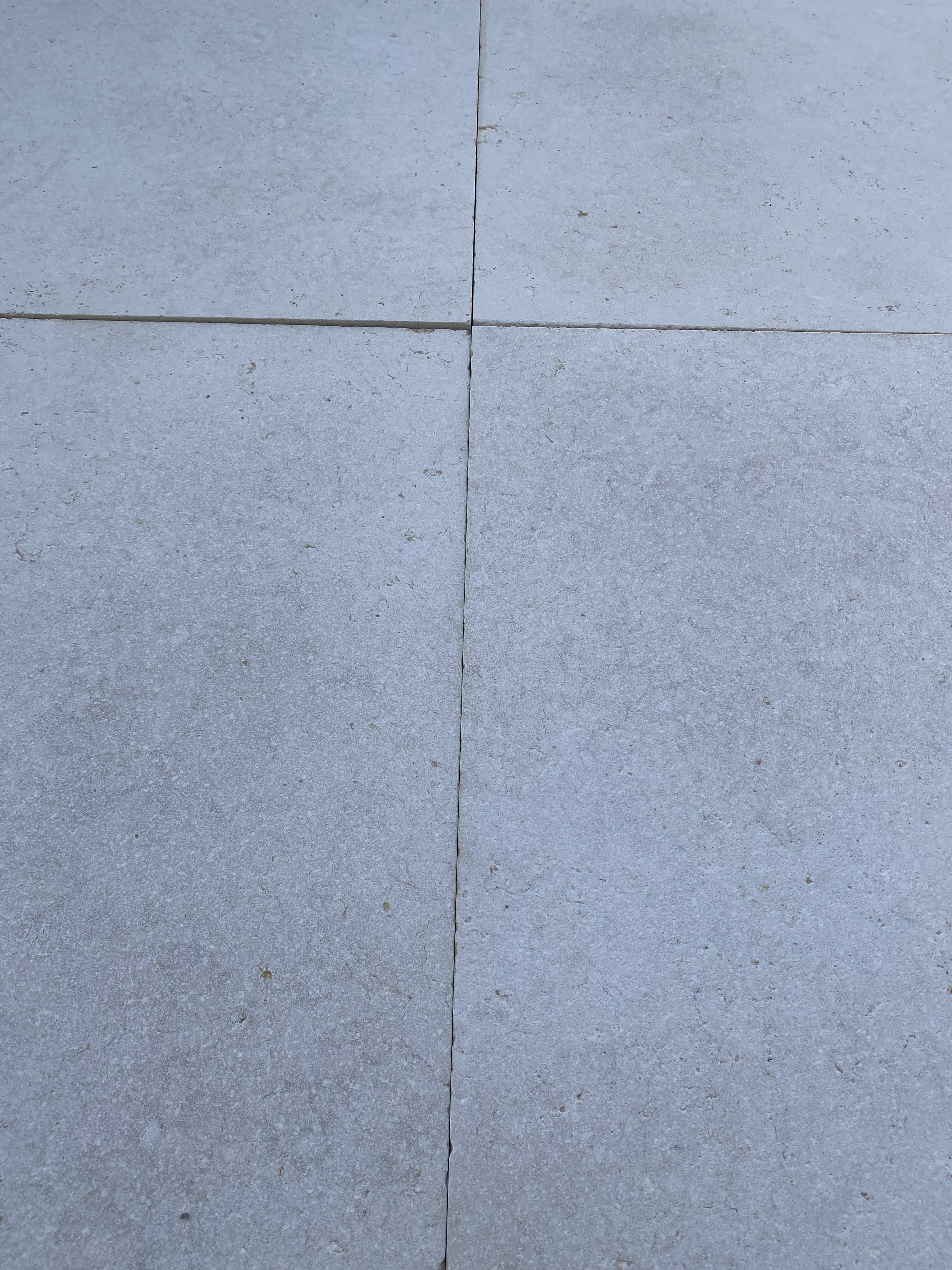 Galala limestone  - Detail